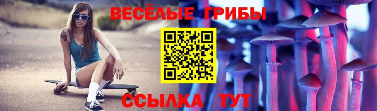 Галлюциногенные грибы Cubensis  Вход с VPN  Кропоткин 